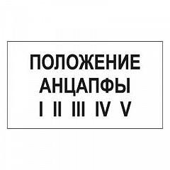 T105 ПОЛОЖЕНИЕ АНЦАПФЫ I II III IV V