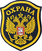 Шеврон с орлом на рукав, цветной