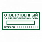 T322 ОТВЕТСТВЕННЫЙ ЗА ЭЛЕКТРОБЕЗОПАСНОСТЬ